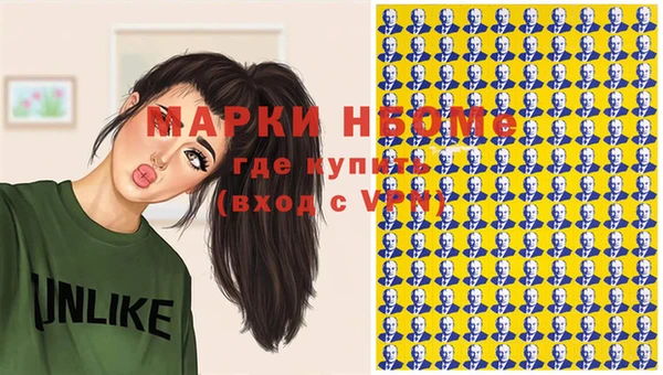 прущие грибы Щёлкино