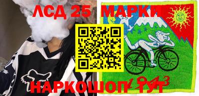 гидропоника Владимир