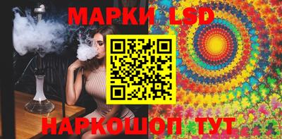 гидропоника Владимир