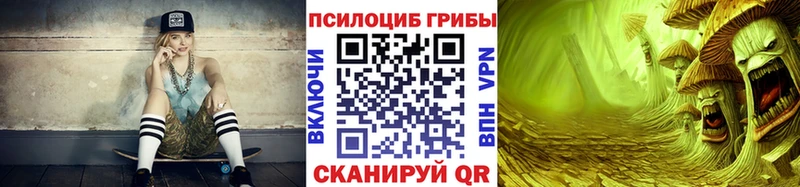 kraken как зайти  купить   Рыбинск  Псилоцибиновые грибы Psilocybe 